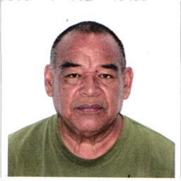 Arturo  Pelayo Sr.